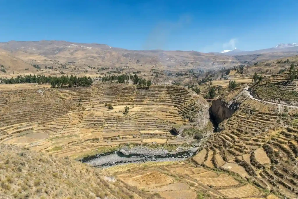Colca Canyon Peru aerial view showing pre-Inca agricultural terraces and the canyon gorge below